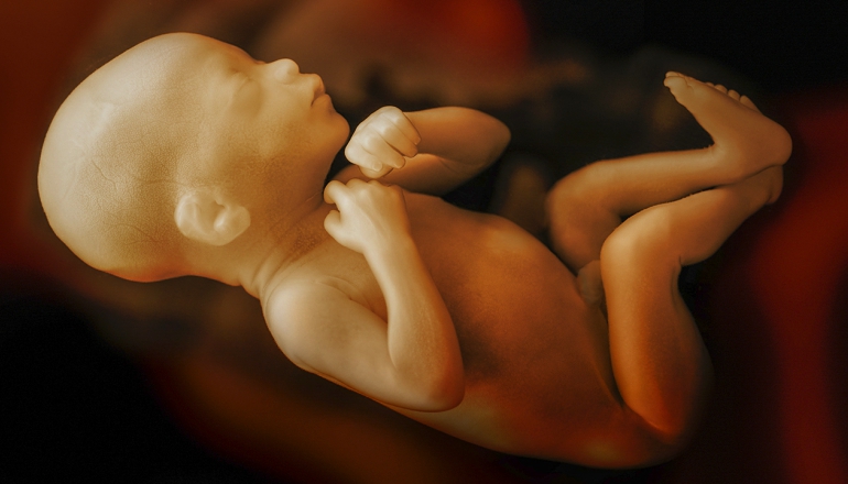 7 Acts That Babies Do In The Womb Will Surprise You
