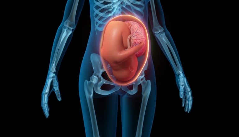 Amazing Facts About Your Placenta