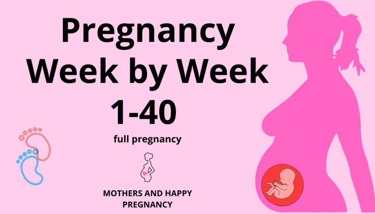 pregnancy week by week 1-40