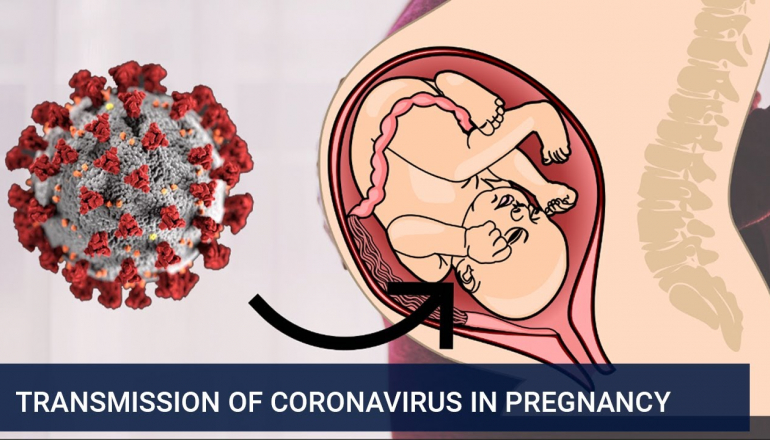 Transmission of coronavirus in pregnancy