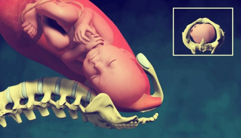 Normal Vaginal Childbirth | Pregnant Life