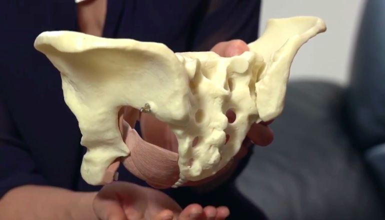 What is the Pelvic Floor?