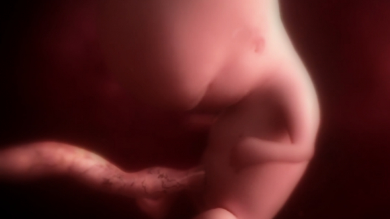 Pregnancy Week by Week: 10 Weeks Pregnant