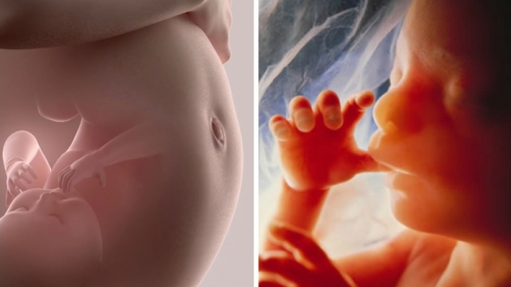 13 Surprising and Weird Facts About Pregnancy