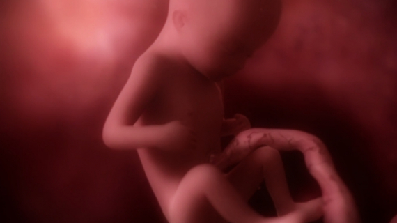 Pregnancy Week by Week: 19 Weeks Pregnant