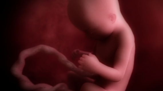 Pregnancy Week by Week: 23 Weeks Pregnant