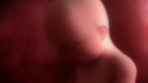 Pregnancy Week by Week: 25 Weeks Pregnant