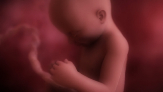 Pregnancy Week by Week: 28 Weeks Pregnant