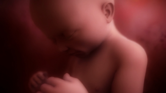 Pregnancy Week by Week: 29 Weeks Pregnant