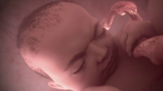 Pregnancy Week by Week: 40 Weeks Pregnant