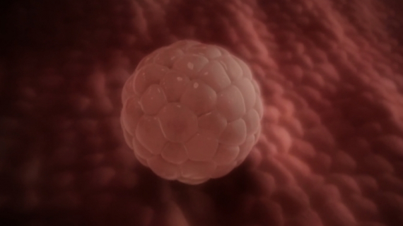 Pregnancy Week by Week: 4 Weeks Pregnant