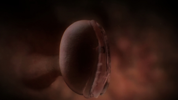 Pregnancy Week by Week: 5 Weeks Pregnant