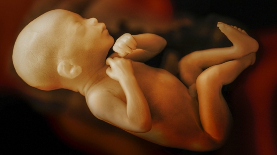 7 Acts That Babies Do In The Womb Will Surprise You
