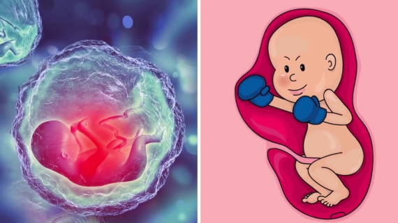 7 Facts You Need to Know About Baby Kicks