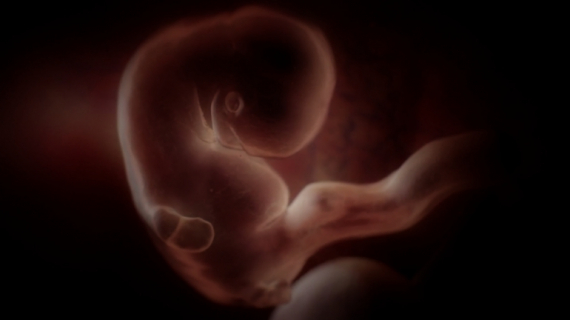 Pregnancy Week by Week: 9 Weeks Pregnant