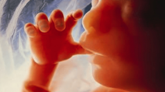 Amazing Pregnancy Facts You Should Know