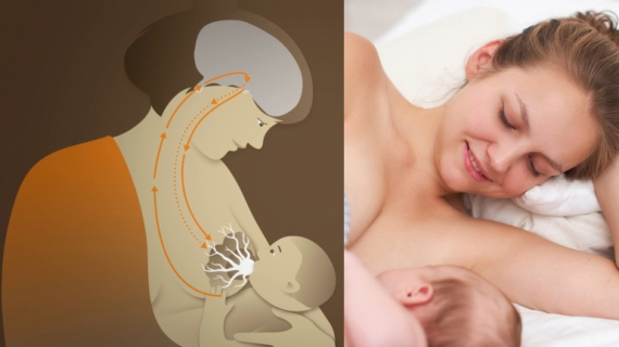 Breastfeeding: Nursing Basics for New Mothers