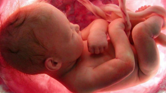 How Is Wonderful The Growth And Size Of The Fetus