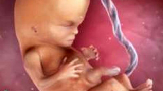 Inside Pregnancy: Weeks 10 - 14