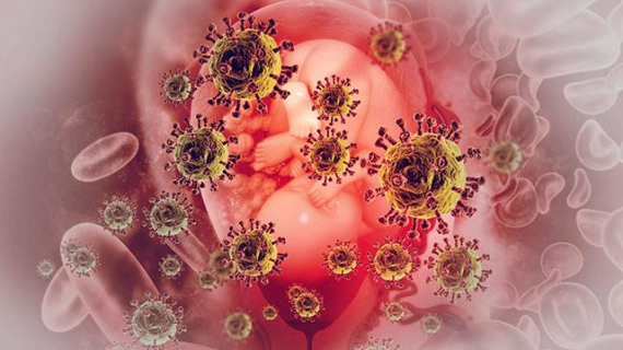 Pregnancy infection increases a child’s autism, suicide risk Pregnancy infection increases a child’s autism, suicide risk