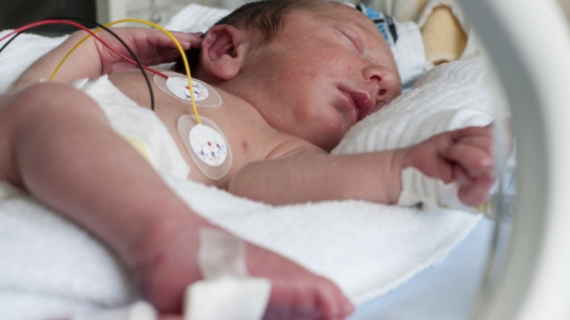 Preventing Birth Defects