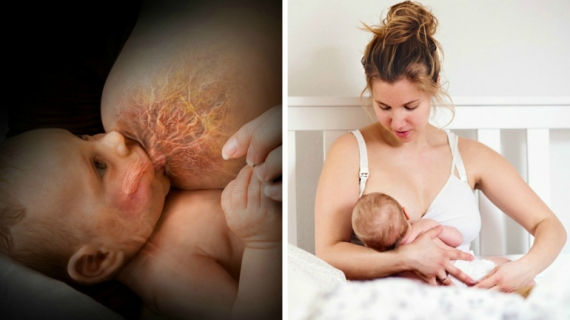 Breastfeeding 101: Everything You Need to Know