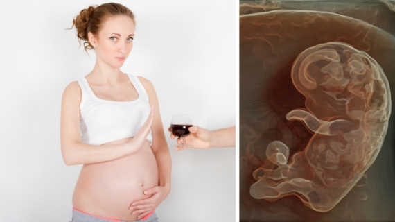 Can You Drink Alcohol When You Are Pregnant?