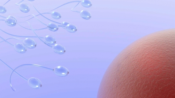 Conception: Decoding Your Cervical Mucus