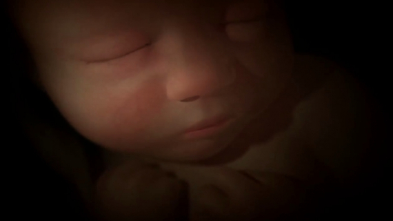 Do Babies Dream in the Womb?