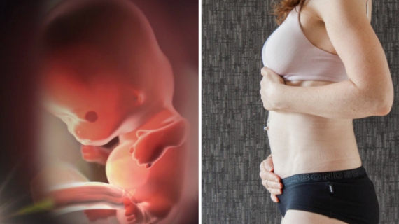 Fetal Development: Your Baby's Growth During the First Trimester