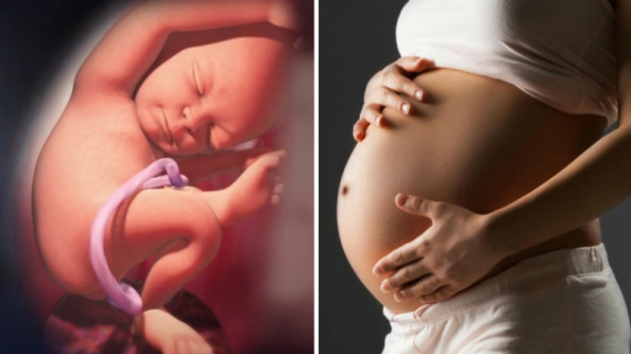 Fetal Development: Your Baby's Growth During the Third Trimester