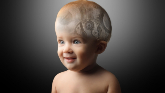 How Baby Brains Develop