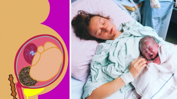 How Does a Woman Give Birth?