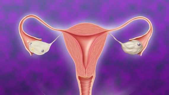 How Does Pregnancy Begin?