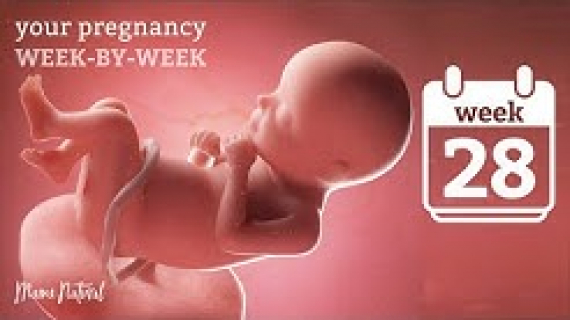 28 Weeks Pregnant