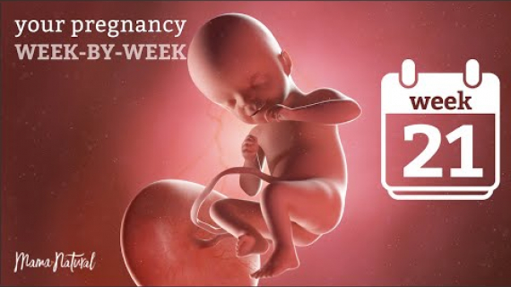 21 Weeks Pregnant 