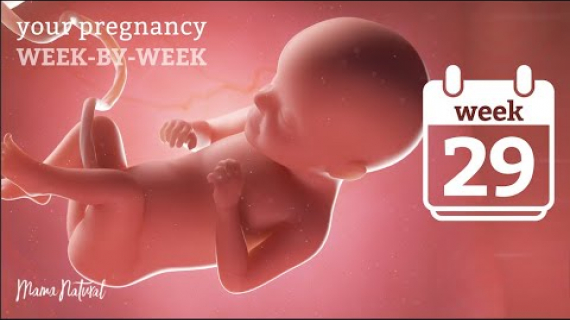 29 Weeks Pregnant