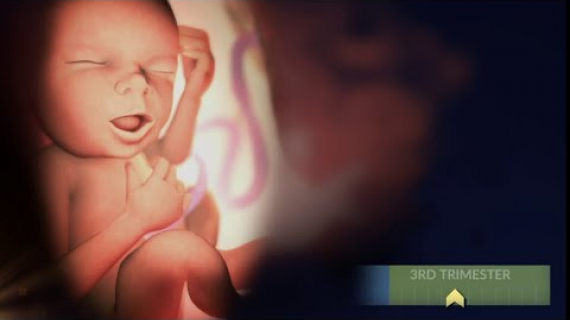 How Your Baby Grows During the Third Trimester