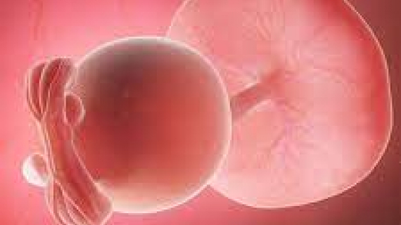 5 Weeks Pregnant 5 Weeks Pregnant