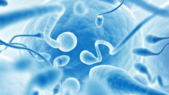 Infertility Treatment