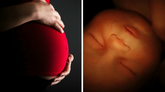 Life in the Womb: Senses Hearing and Touch