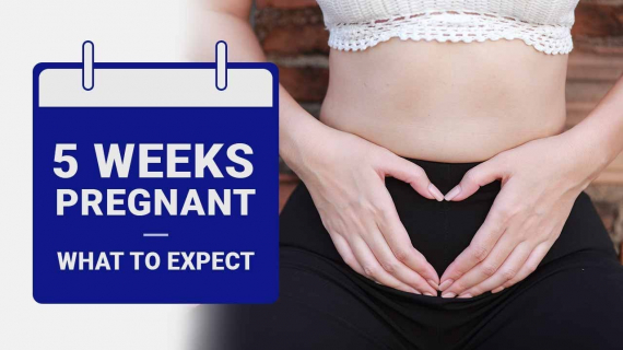 5 Week Pregnant - What to Expect?