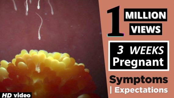 3 Weeks Pregnant Cramping