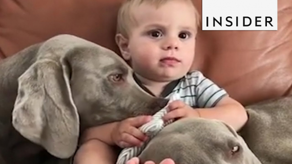 Benefits Of Kids Growing Up With Pets