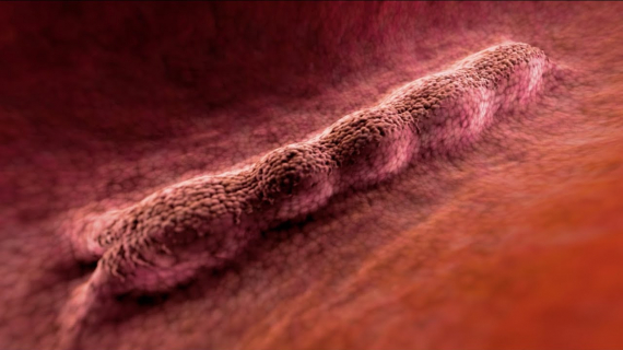 Why You Should Take Folic Acid BEFORE Pregnancy