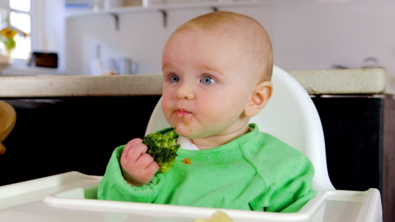 Baby-led weaning basics