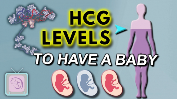 HCG levels in early pregnancy 