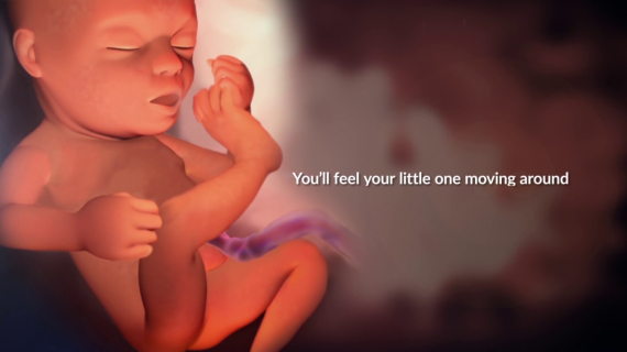 Pregnancy Milestones Timeline