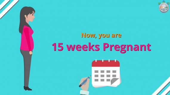 How Many Months Pregnant You are at 15th Week of Pregnancy Part 1