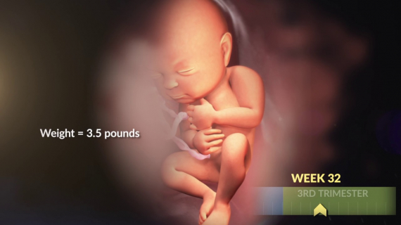 Your Growing Baby's Changes in the Third Trimester